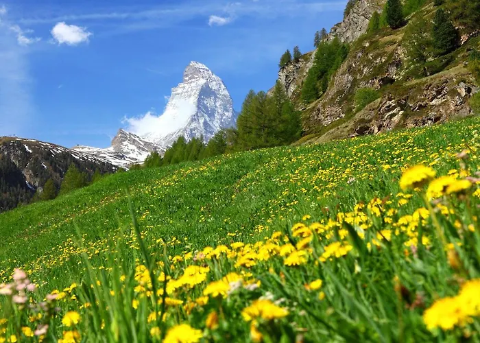 Fis By Interhome Apartment Zermatt